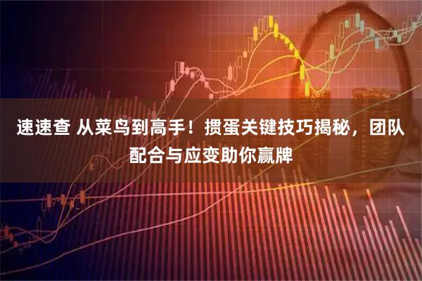 速速查 从菜鸟到高手！掼蛋关键技巧揭秘，团队配合与应变助你赢牌