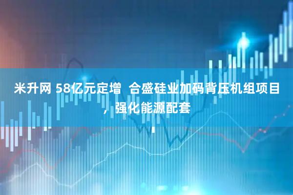 米升网 58亿元定增  合盛硅业加码背压机组项目，强化能源配套