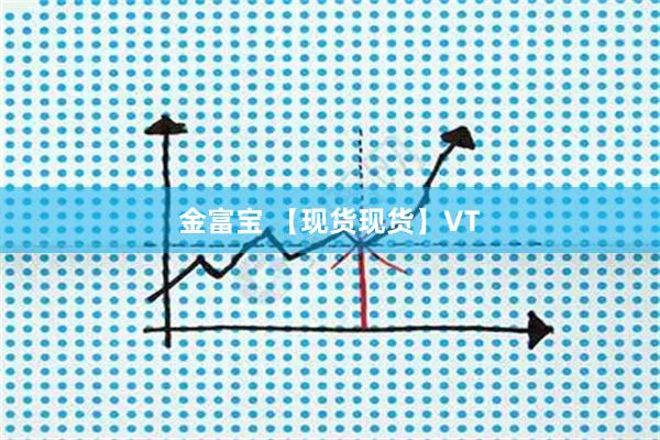 金富宝 【现货现货】VT