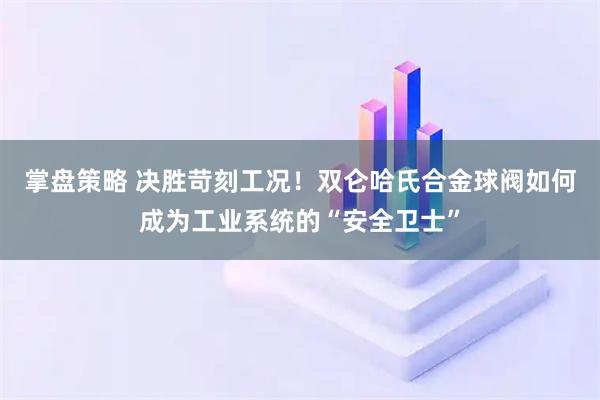掌盘策略 决胜苛刻工况！双仑哈氏合金球阀如何成为工业系统的“安全卫士”