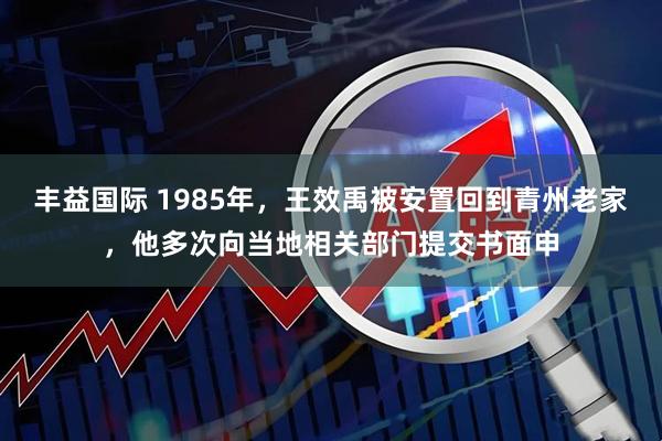 丰益国际 1985年，王效禹被安置回到青州老家，他多次向当地相关部门提交书面申